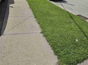 Neal C.'s Grass Cutting service result