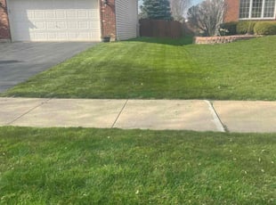 Peter T.'s Lawn Mowing service result