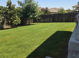 Matt V.'s Lawn Care service result