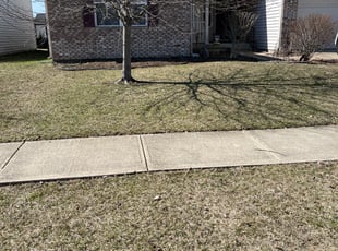 Bush Trimming by Luis Contreras for Jeffrey C. in McCordsville, IN