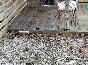Cleanups by Ronald Bell for Erica S. in Kansas City, KS
