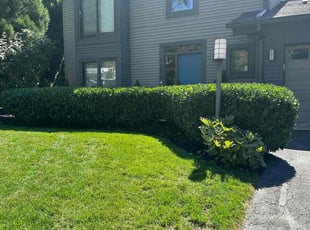 Bush Trimming by Jose M Rodriguez for Brett S. in Vienna, VA