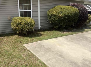 Bush Trimming by Marco Garcia for Szakolczay K. in Myrtle Beach, SC