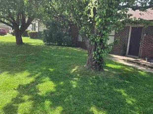 Ike S.'s Lawn Care service result