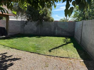 Asia S.'s Lawn Care service result