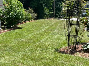 Michele W.'s Yard Cutting service result