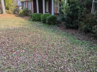 Bush Trimming by Steven Baskin for Linda M. in Elgin, SC