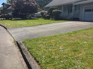 Bush Trimming by Robert Norton for Kelley L. in Vancouver, WA