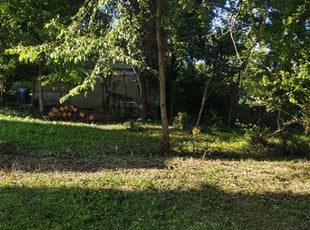 Cleanups by Dan Bower for Alexis G. in Cincinnati, OH