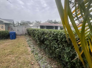 Bush Trimming by latre Wise for Katie N. in Seminole, FL