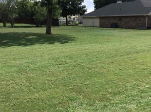 Bill S.'s Bush Trimming service result