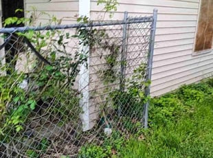 Bush Trimming by Reginald White for LaShanda W. in Kansas City, MO
