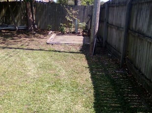 Leaf Removal by Wayne Davis for Sven S. in St. Petersburg, FL