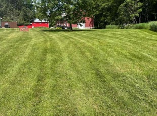 CLARA I.'s Lawn Service service result