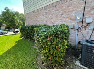 Bush Trimming by Jessie Cadena for John M. in Fort Worth, TX
