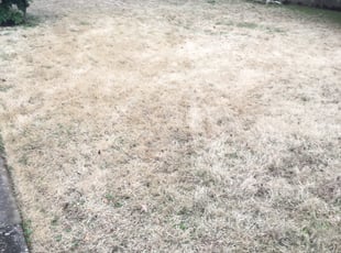 Cleanups by Randall Whalen for David S. in Memphis, TN