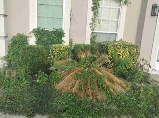Bush Trimming by Derrick Rhodes for Fred J. in Riverdale, GA