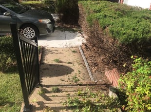 Bush Trimming by Mark Brague for Allen A. in Virginia Beach, VA