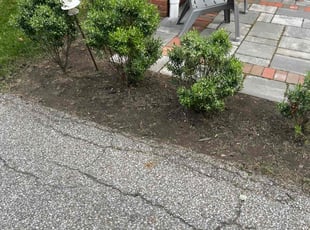 Weeding by Donald Prentiss for Ryan G. in Upper Arlington, OH