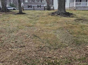 Leaf Removal by Rose Valle for Drake R. in Manassas, VA