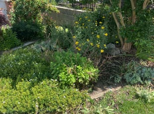Weeding by Erick G for jean g. in Cary, NC