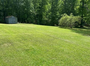 Deb D.'s Lawn Mowing service result