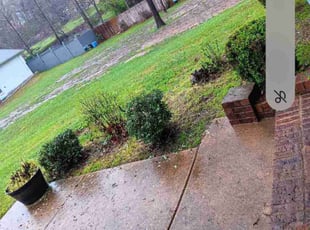Leaf Removal by Billy Evans for Alexis K. in Ridgeland, MS