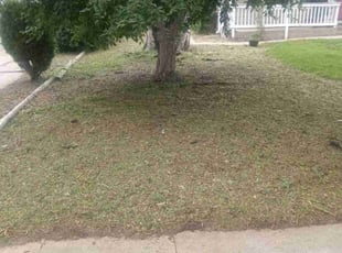 Cleanups by Brandon Tortone for Joseph R. in Aurora, CO