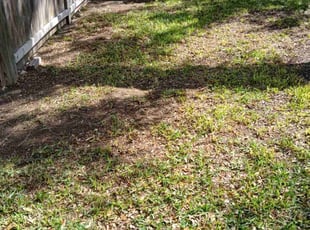 Cleanups by Vincent Vasquez for Willliam W. in San Antonio, TX