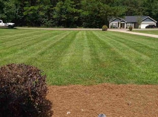 Lynn A.'s Lawn Mowing Service service result