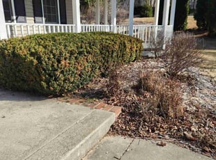 Bush Trimming by Ronnie Anderson for Keke C. in Brookfield, WI