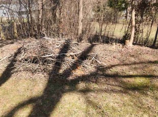 Leaf Removal by Howard Breunig for John B. in Madison, WI