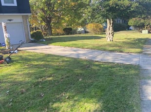 Cleanups by Dewayne Hopkins for Chris H. in Timonium, MD
