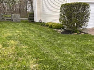 Bush Trimming by Walter Thurmond for Kim P. in Maineville, OH