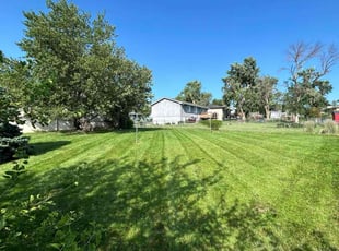 Joseph S.'s Lawn Service service result