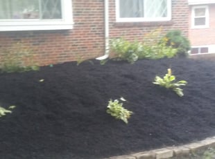 Tina E.'s Mulching service result