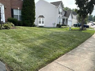 Victoria N.'s Lawn Mowing service result