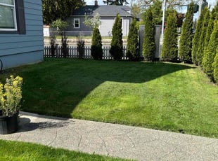 Jordan G.'s Lawn Care service result