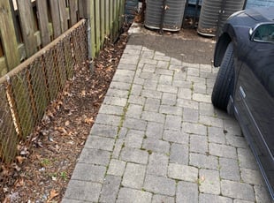 Leaf Removal by Clinique Martin for Lauren S. in Washington, DC