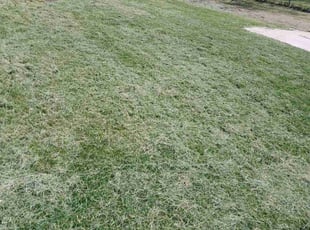 Glenn S.'s Yard Cutting service result