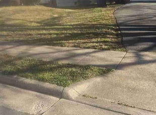 Leaf Removal by Rose Valle for Ahmed E. in Herndon, VA
