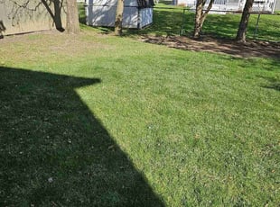 Qarlano C.'s Lawn Mowing service result