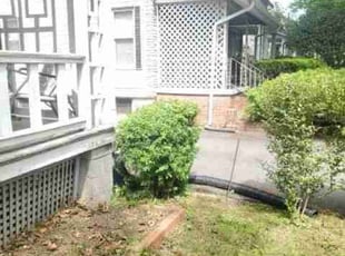 Bush Trimming by Chris Stewart for Joseph P. C. in Washington, DC
