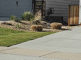 Bush Trimming by Jeremy Ray for Jonny W. in Arvada, CO