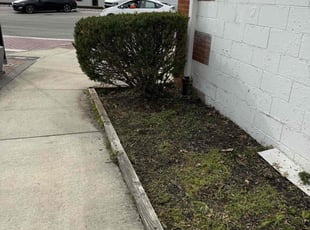 Bush Trimming by Jon Race for Sheena J. in Deer Park, OH