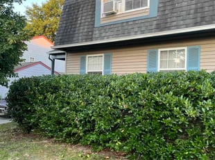 Bush Trimming by Kristopher Williams for Kevin D. in Harrison Township, NJ