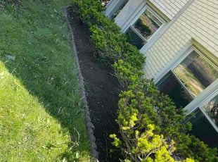 Weeding by Felix Alejos for Hai K. in Chicago, IL