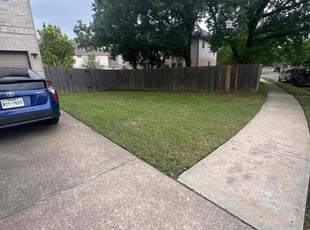 Leaf Removal by Noah Morrison for Sam N. in Round Rock, TX