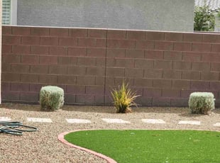 Bush Trimming by Lamont Johnson for Nick O. in Las Vegas, NV