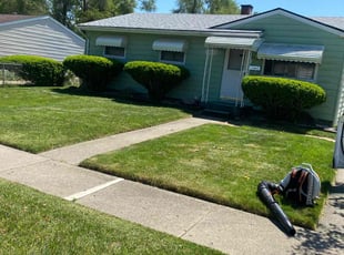 Dave M.'s Lawn Mowing Service service result